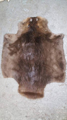 Beaver Pelt